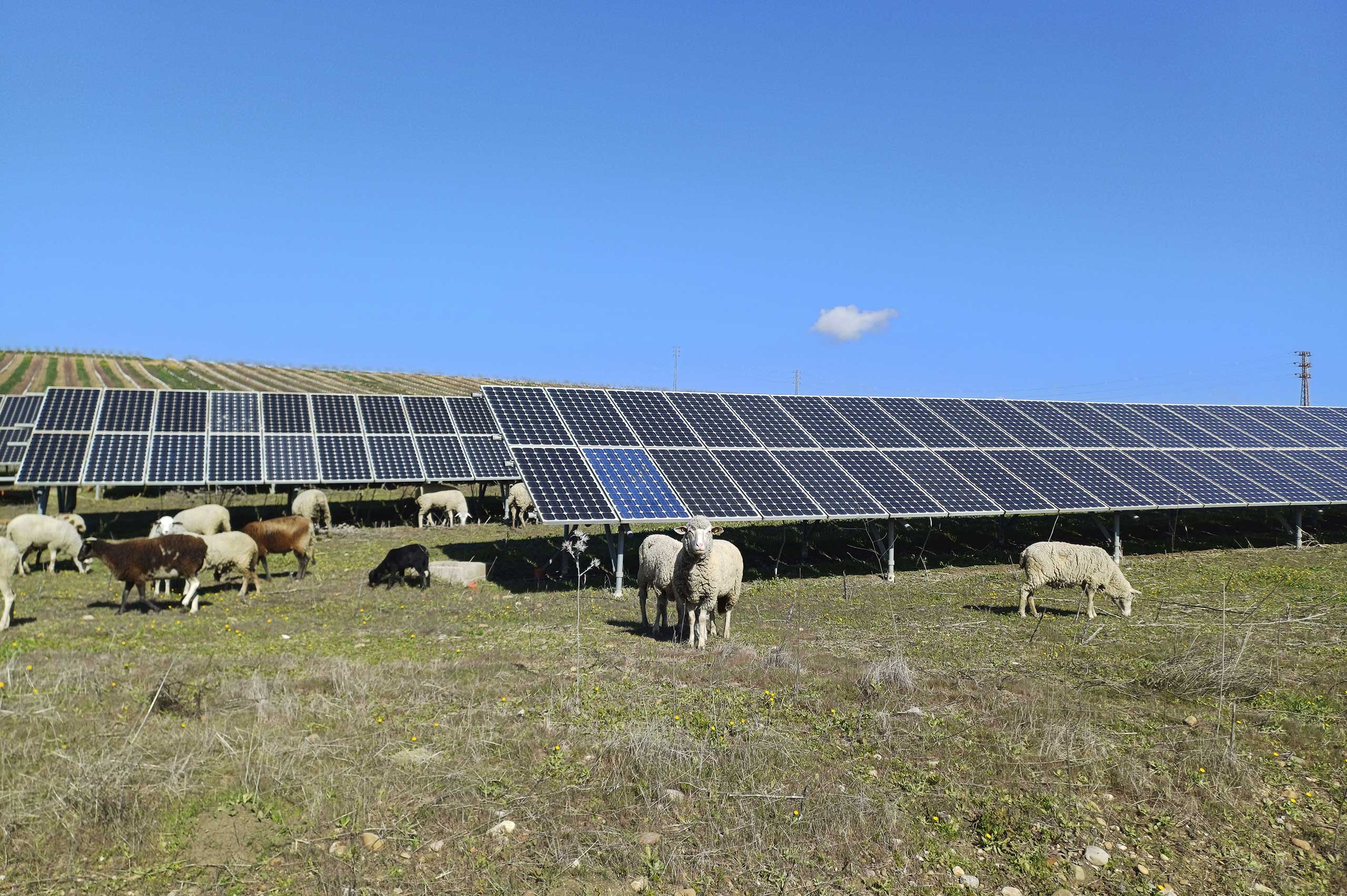 PROUD PLAYER OF THE EUROPEAN ENERGY TRANSITION